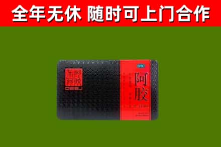 平桥回收阿胶