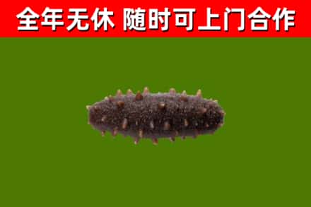 平桥烟酒回收干海参.jpg